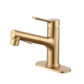 Single Hole Bathroom Faucets with Pull Out Sprayer Brushed Gold Vanity Faucets