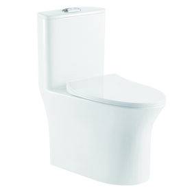 Wholesale Ceramic White WC One Piece Toilet PP Cover Siphonic Flush Soft Close Dual Flush Toilet