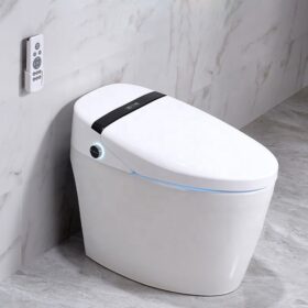 China Smart Toilet Supplier Smart Toilet One Piece Toilet Factory Price