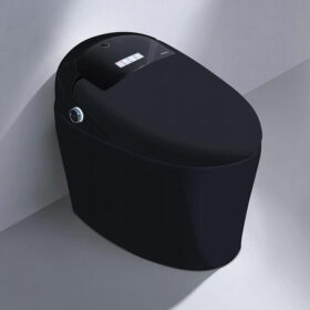 Wholesale Bathroom One Piece Smart Toilets Black Color Electric 110v/220v Bidet Toilets